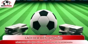 Cách xem biến động kèo