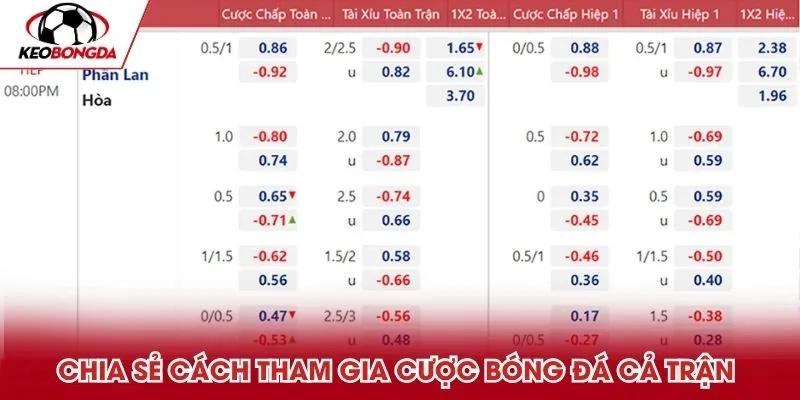 Chia sẻ cách tham gia cược bóng đá cả trận chuẩn xác