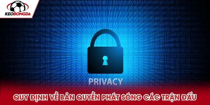Quy định về bản quyền phát sóng các trận đấu