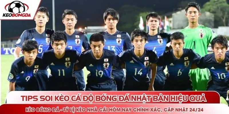 Tips soi kèo cá độ bóng đá Nhật Bản hiệu quả